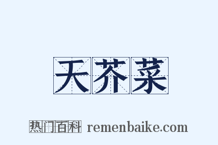 天芥菜是什么意思的图片